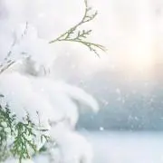山田
