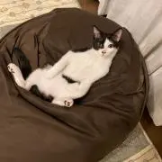 タムタム