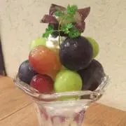 ぽぽんたの画像