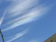 ブルじい
