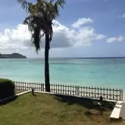 陽斗の画像