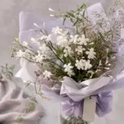 jasmine.の画像