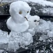 ゆあそほの画像