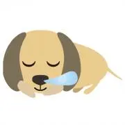 あんちゃんの画像