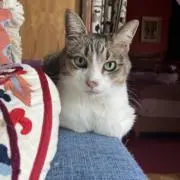 あすか