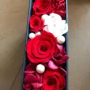 きらきらひめの画像