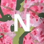 Nの画像