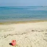 ice 発送は週末ですの画像