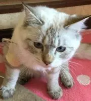 とと( ◠‿◠ )
