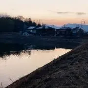 ソボクの画像