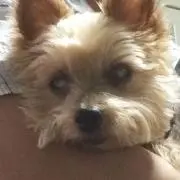 ココアママの画像