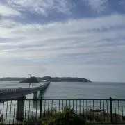 りりりりり