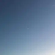 yuzuの画像