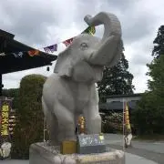 ことみの画像