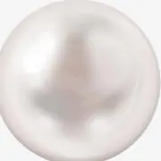しゃるの画像