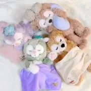 うさぎの画像