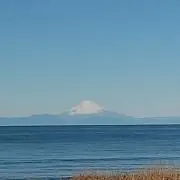 ＊バニラ＊発送はお時間かかります