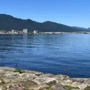 carhartt キルティングダウンベスト XL ライトブルージントニック carhartt キルティングダウンベスト XL ライトブルージントニック様