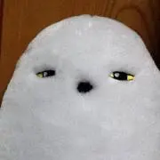 ふじりんの画像