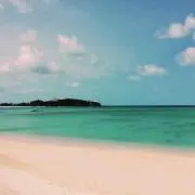 でーるでる