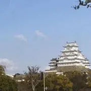 552mmの画像