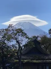 チェリー