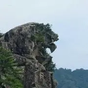 mikusanの画像