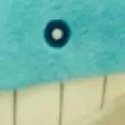 ほえるっちの画像