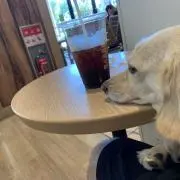 YNの画像