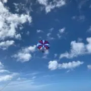 てぃーの画像