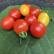 るるる＊おまとめ購入歓迎の画像