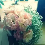 みみみ