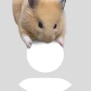 ♩♩♩の画像