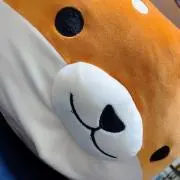 YK4の画像