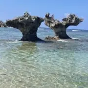 uの画像