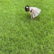 yuitoの画像