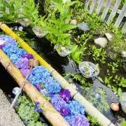 Kanaeの画像