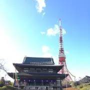 P-chiの画像
