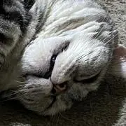 ゆう