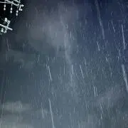 とさかの画像