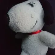 キセキ
