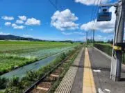 ななの画像