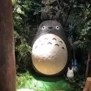 よしの画像