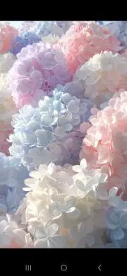 ちのの画像
