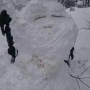 まりもまりりん