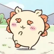 ぽむの画像