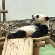 えもん☺︎