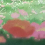 mikanの画像