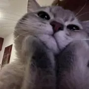 牧