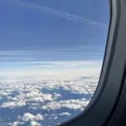 あの画像